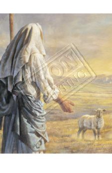 The Good Shephard seeks the lost sheep